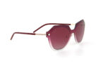 White Shark 044 - Image 3